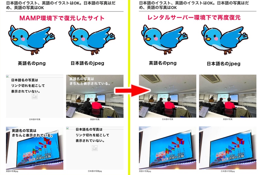 再度復元したらリンクが繋がった