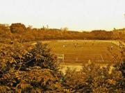 名大の東山グラウンド